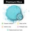 imageHTVRONT Black Mica Powder for Resin  176 oz50g Black Mica Pigment Powder Natural Mica Powder for Soap Making Resin Candle Making Bath BombTurquoise Blue50g