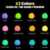 imageHTVRONT Glow in The Dark Pigment Powder 12 colors 07 oz  20 g Each Glow in The Dark Resin Pigment with UV Lamp Glow in the Dark Mica Powder for Epoxy Resin Acrylic Nails Bath Bomb etcGlow in The Dark Powder  12 Colors